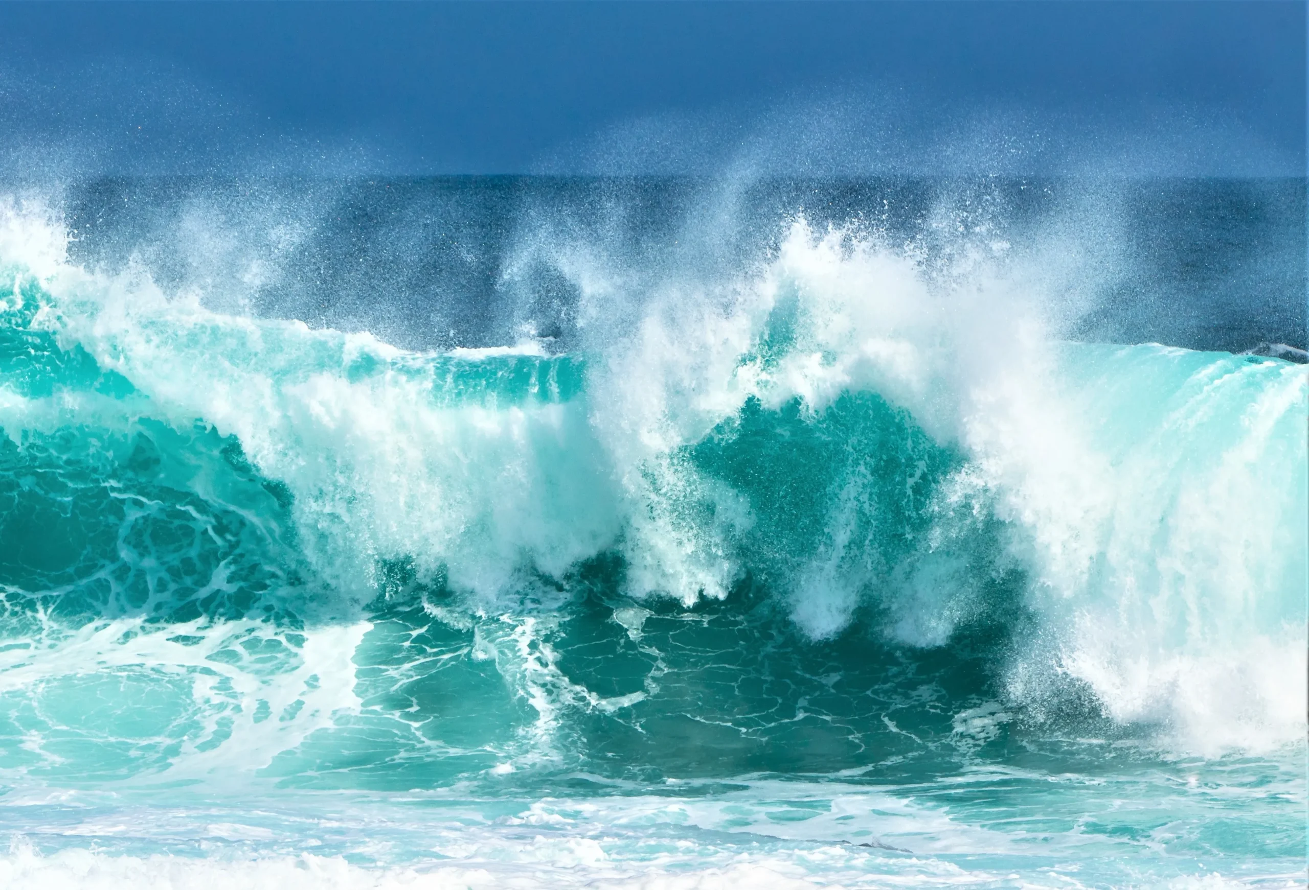 MEDICOTT – Schutz vor Schimmel und Hausstaubmilben