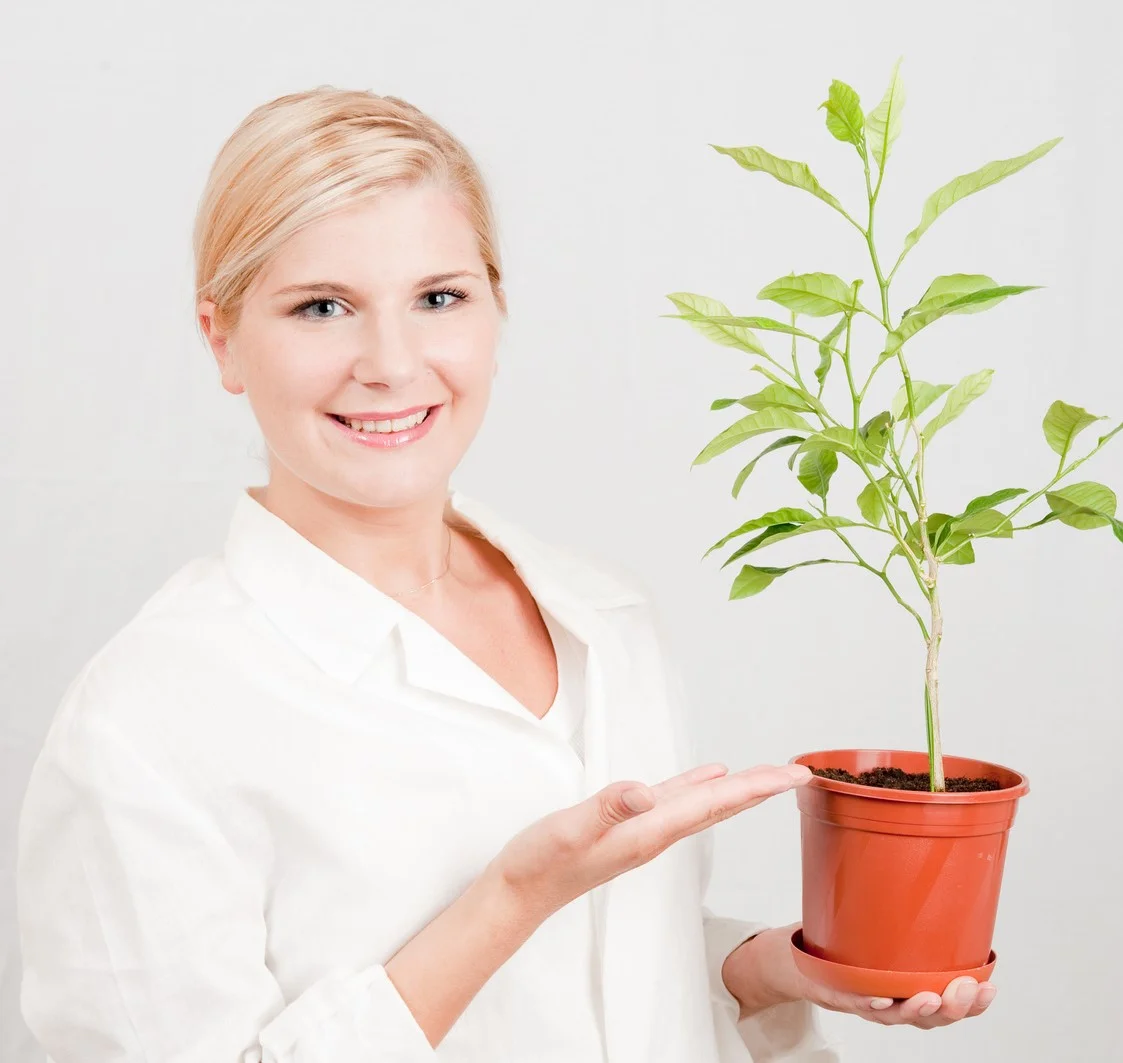 Nachhaltige Bio-Rohstoffe und ökologische Bewirtschaftung bei Swiss BioLuxe für umweltfreundliche Matratzenproduktion