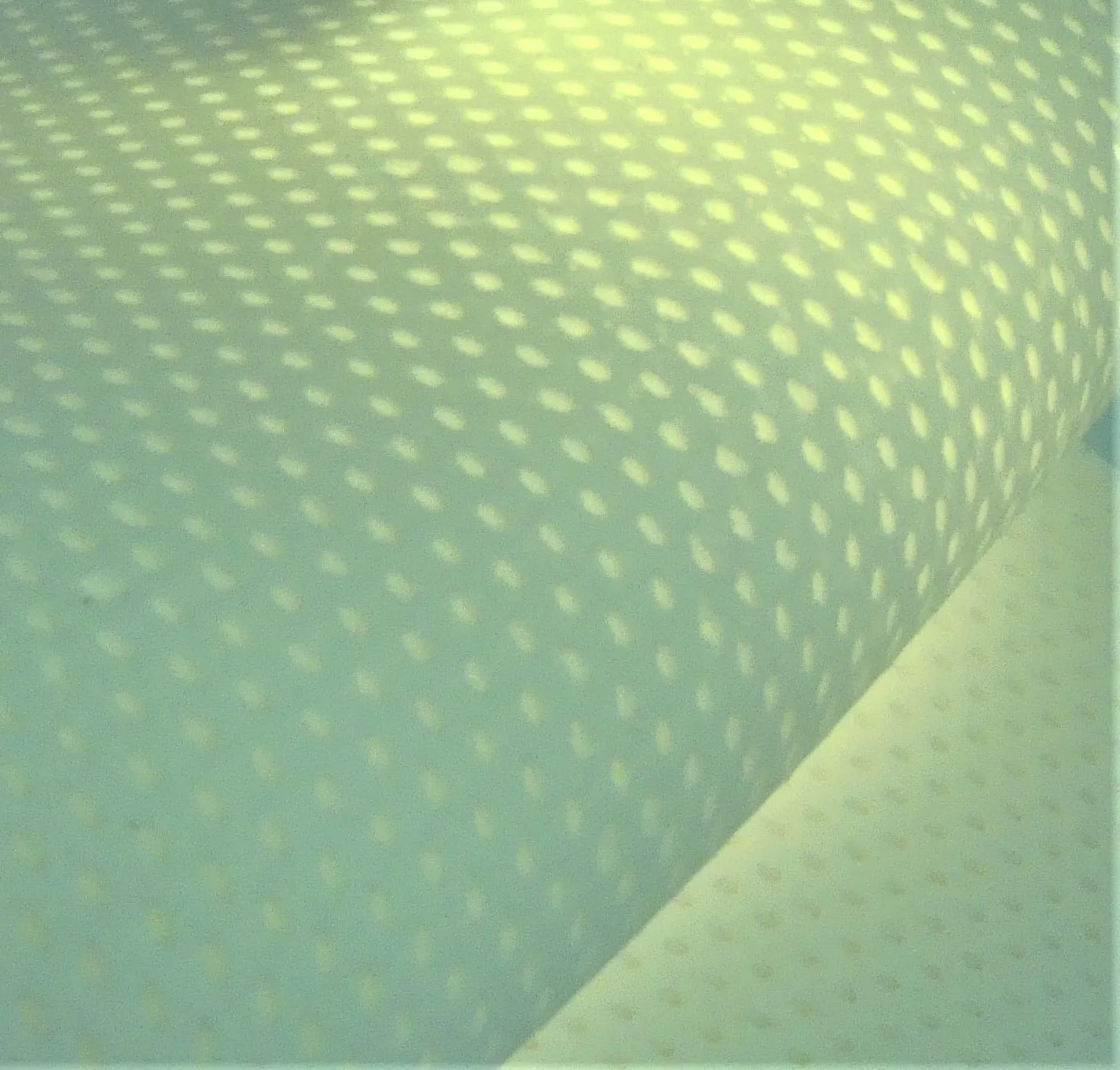 Vita Latex – elastisches Naturmaterial mit optimaler Punktelastizität und Körperanpassung für Swiss BioLuxe Matratzen