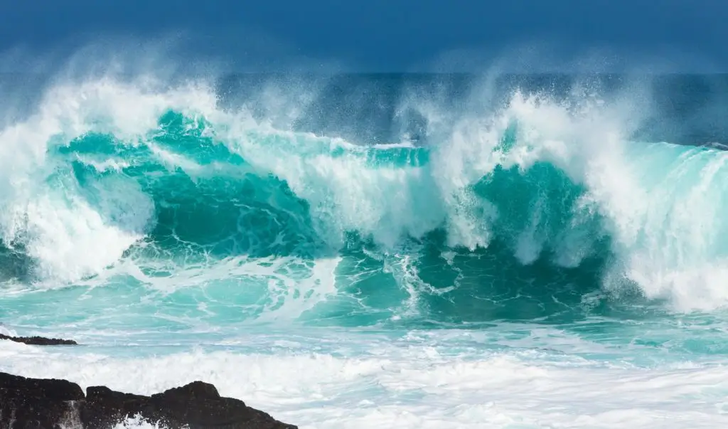 MEDICOTT Technologie für hygienischen Schutz gegen Schimmelpilze und Hausstaubmilben